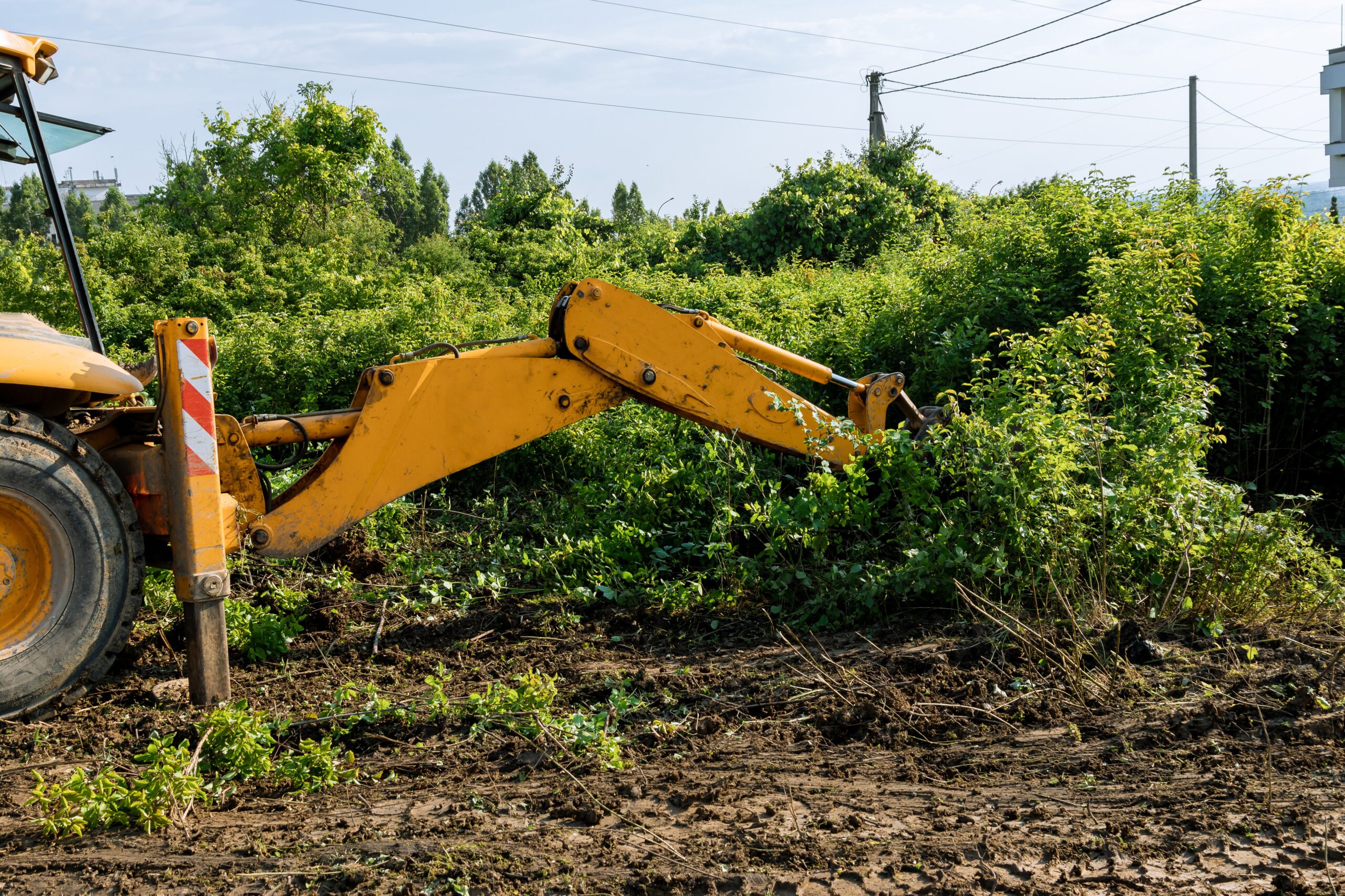 excavator work efficiently removes bushes and tree