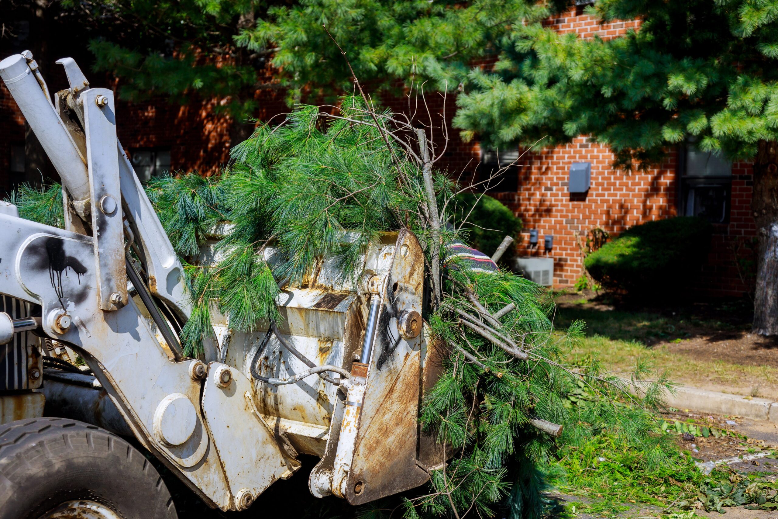 pile tree branches in the city street removal